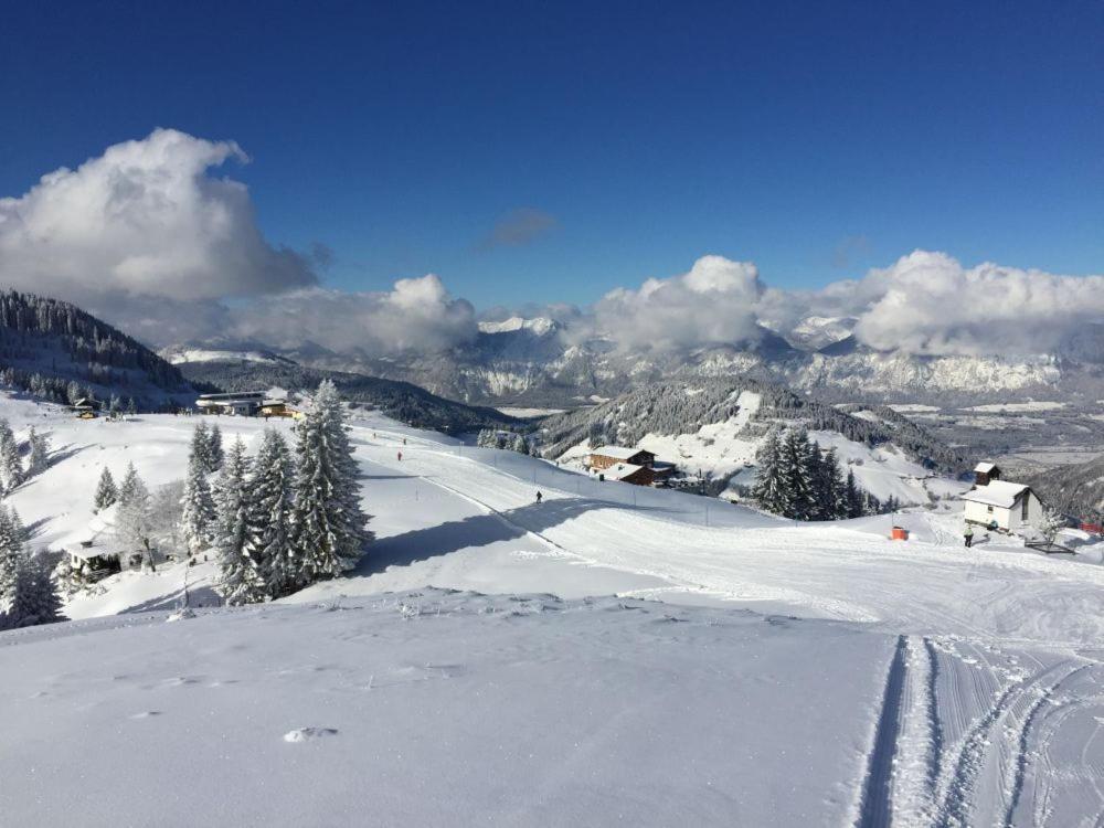 Sonnenalp Markbachjoch Xl Niederau Ngoại thất bức ảnh